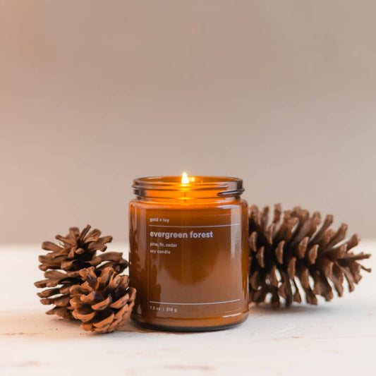 gold + ivy - evergreen forest soy candle - standard 7.5 oz.